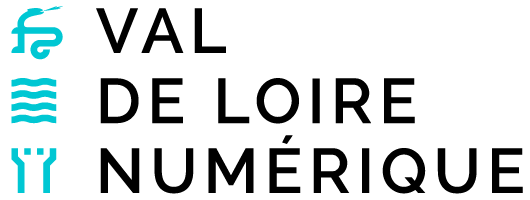 Logo VDLN